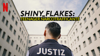 Shiny_Flakes: teenager narcotrafficante (2021)