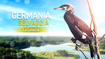 Germania selvaggia: La Lusazia (2013)