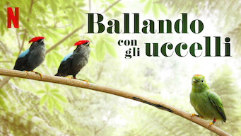 Ballando con gli uccelli (2019)