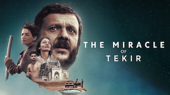 The Miracle of Tekir (2015)