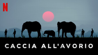 Caccia all'avorio (2016)