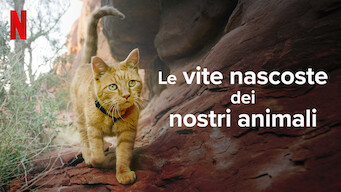 Le vite nascoste dei nostri animali (2022)