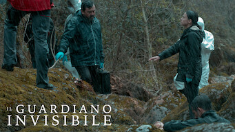 Il Guardiano Invisibile (2017)