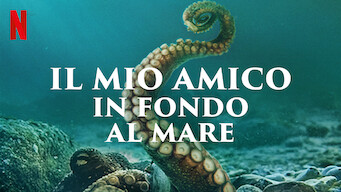 Il mio amico in fondo al mare (2020)